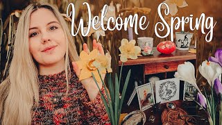 Ostara 🐇 Witch&#39;s Spring 🌷 Rituals and Simple Ideas