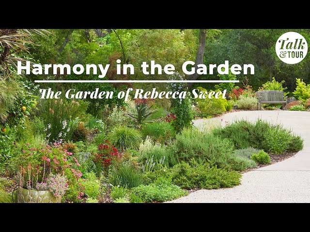 Drought-Tolerant Garden Tour in California 🌼 Talk u0026 Tour | Rebecca Sweet class=