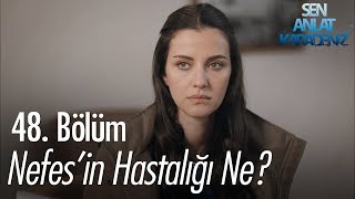 Lagu Video Terbaru