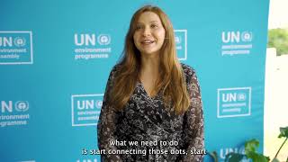 Natalia Dziergwa - UN Volunteer Circular Economy Specialist, UN Environment Programme