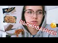 НЕДЕЛЯ НА 350 РУБЛЕЙ: ЗАКУПКА + РЕЦЕПТЫ