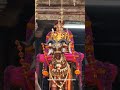 சூரசம்காரம் 2025 #inuvil #inuvilkanthan #tamil #devotionalsongs #murugan