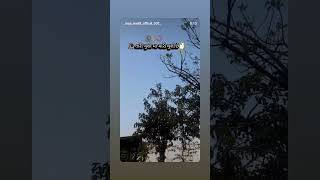 #newshorts #vidyo #તારી ખુશી મા  મારી ખુશી છે #new