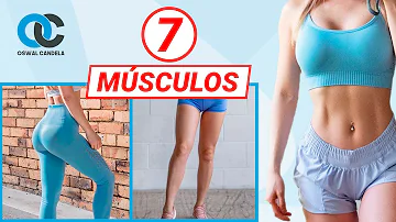 ¿Cómo definir los musculos en las mujeres?