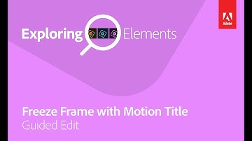 Exploring Elements: Freeze Frame Guided Edit with VidProMom