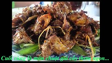 slide địa phương học - Thịt chuột Yên Thành