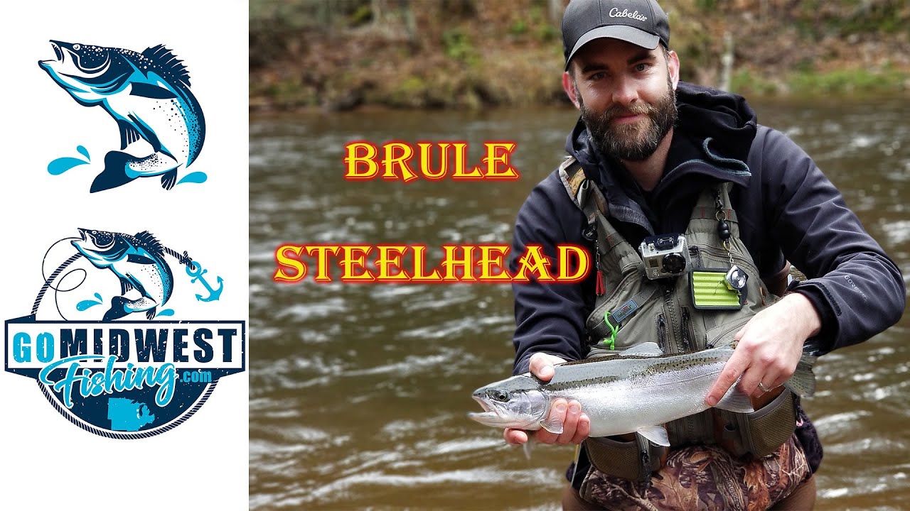 Steelhead Fishing on the Brule River YouTube