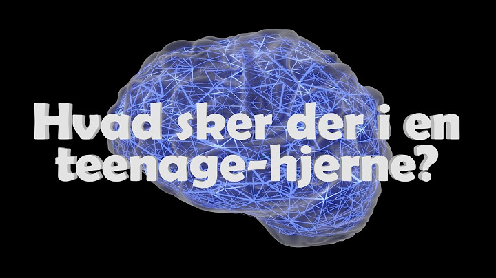 Hvad sker der egentlig i teenagehjernen? Animeret explainer-video