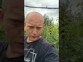 Скільки обробок винограду в сезоні ?