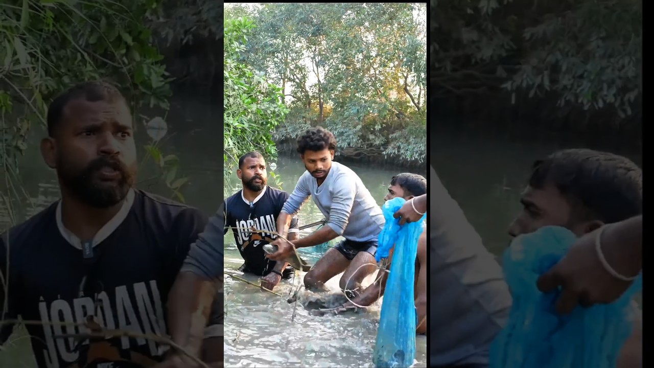 Machhali pakdane a gaye 🤣😂 #comedy #fish #fishing #bihari #bachelor #realfools #funny #vnofficial1