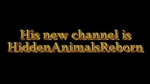 HiddenAnimalsReborn