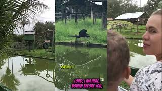 SENHOR EU ESTOU AQUI V2   ING