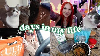 VLOG | Current Favorite Breakfast, Running Errands &amp; Cats Take Over