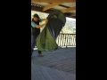 Folding Pop Up Tent