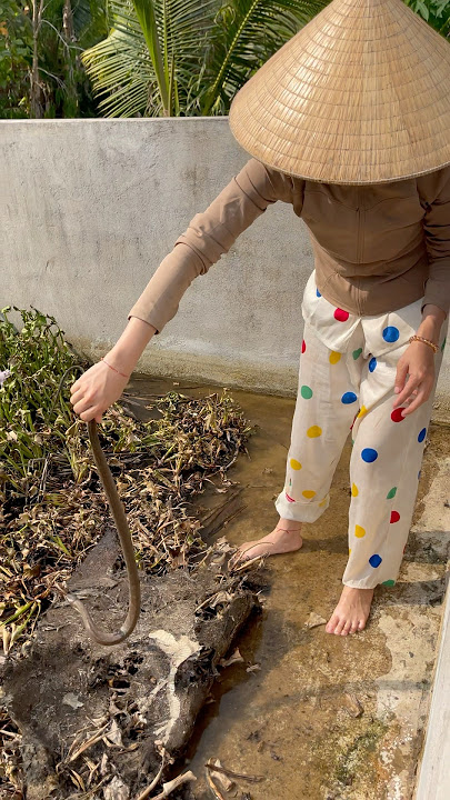 The girl who catches the snake cap nia - the strange snake #snake #girl #capnia