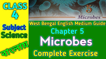 Microbes Class 4 Science Chapter 5 Complete Exercise | Class 4 Science | WB English Medium Guide