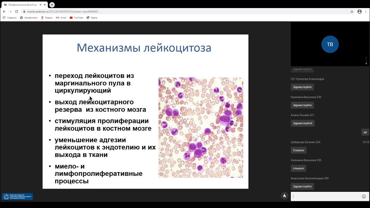 Патология лейкоцитов. Белая кровь патофизиология. Патология белой крови патофизиология. Патофизиология белой крови лекция. Лейкозы гемобластозы патофизиология.