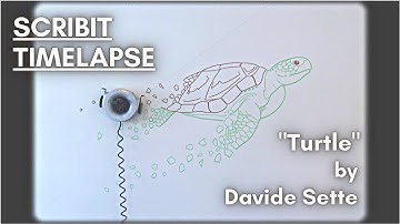 Scribit Timelapse | "Turtle" by Davide Sette