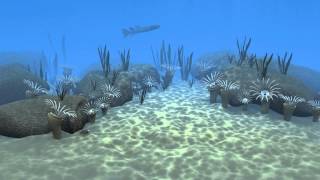 Devonian marine life by igpcolorado 7,436 views 10 years ago 37 seconds