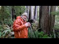 The Last Stand / PHOTOGRAPHING Vancouver Islands last remaining OLD GROWTH FORESTS