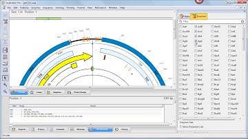 DNASTAR - Introduction to SeqBuilder Pro