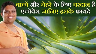 बालों और चेहरे के लिए वरदान है एलोवेरा जानिए इसके फायदे || Acharya Balkrishna