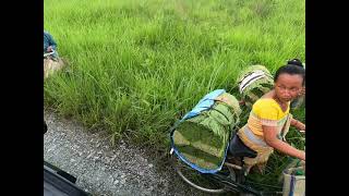 Bathou The Hidden Paradise Of Chirang Bodoland