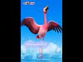 Unité5:Mon oiseau🦩3ème année français nouveau programme TN #3ème #education #educationalvideo