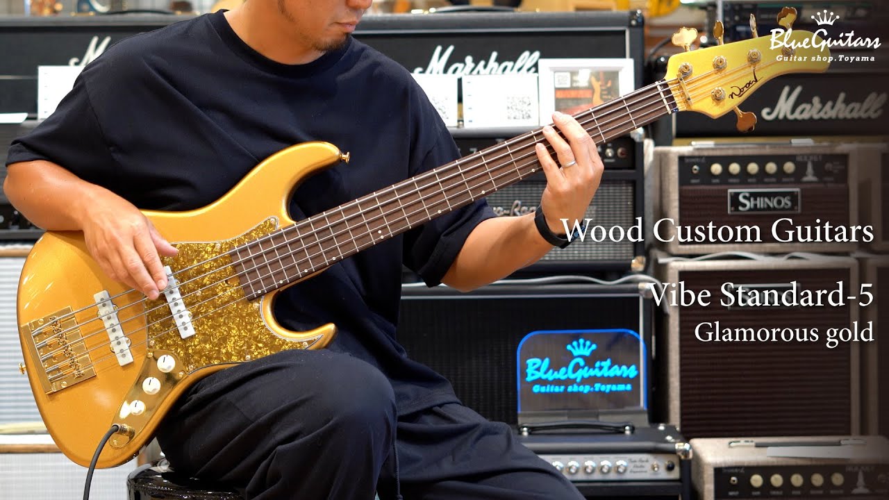 【美品】Wood Custom Guitars Vibe Standard-5 Blue Guitars - Wood Custom Guitars / Vibe Standard-5 - Glamorous
