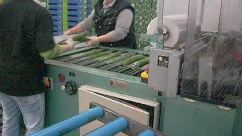 Groenten ,Inseal, verpakkingmachines, Vito insealmachine