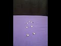 Dance of the Skeleton LadyBugs 🐞☠️ #ASMR #LadyBugASMR #Satisfying #Halloween #SkeletonDance #LadyBug