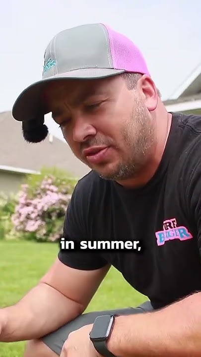 How Short Should You Cut Your Grass In The Summer 3 4 Inches Is how-short-should-you-cut-your-grass-in-the-summer-3-4-inches-is