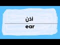 How To Pronounce Ear Ozon In Arabic نطق أذن باللغة العربية 