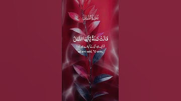 #قران_كريم سورة النمل 🐜 🐜 🐜 🐜 🐜