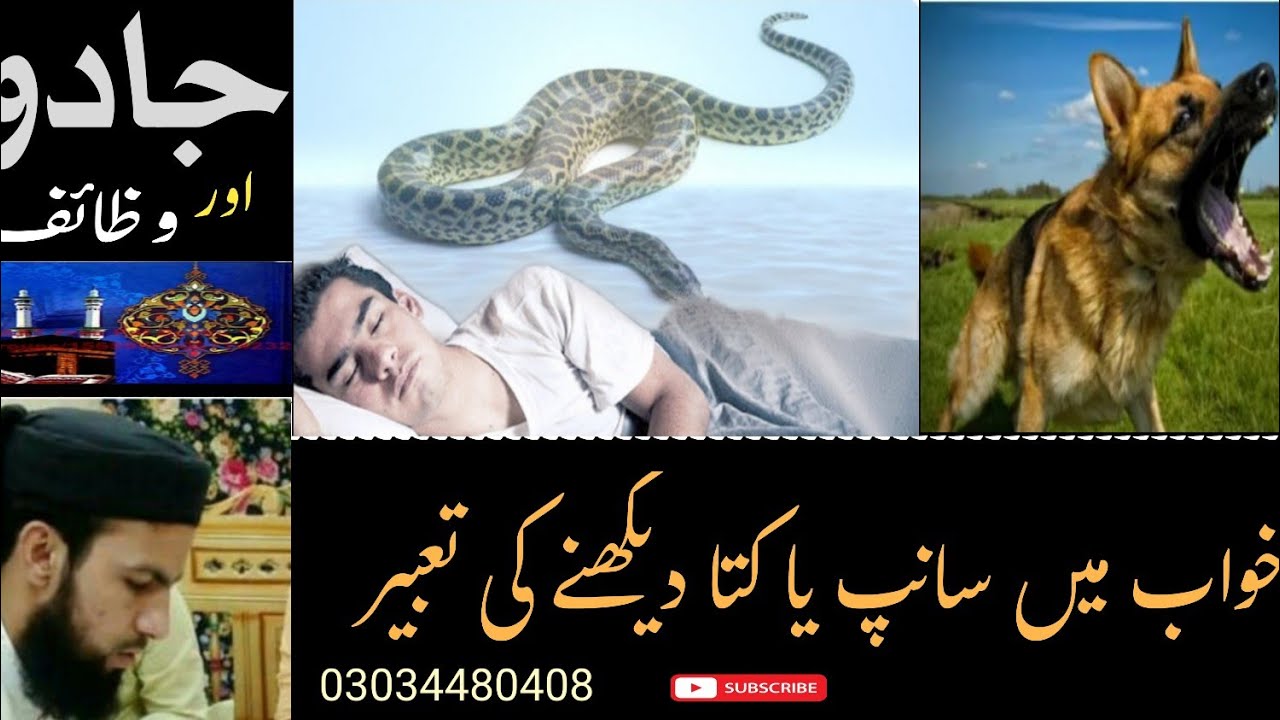 Seeing a snake or a dog in a dream, a cat, a black thing, a black thing, a black thing, etc