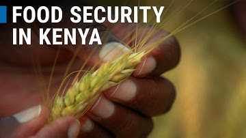Food Security in Kenya - Growing More with Nuclear Techniques