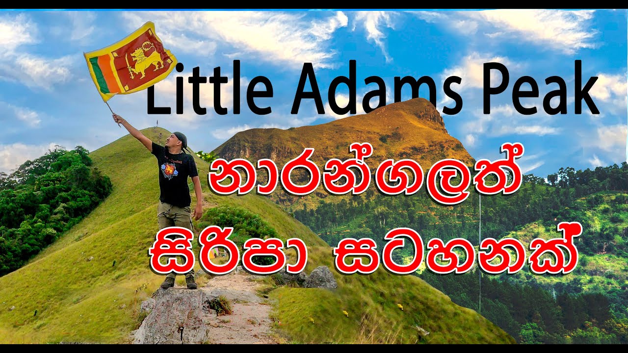 Narangala Night Camping 2021| Dee Walkers | How to travel Narangala Sri Lanka