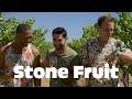 Stone fruit  official trailer  dekkoocom  stream great gay movies