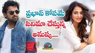 ప్రభాస్ కోసమే సినిమా చేస్తున్న అనుష్క | Box Office | NTV ENT