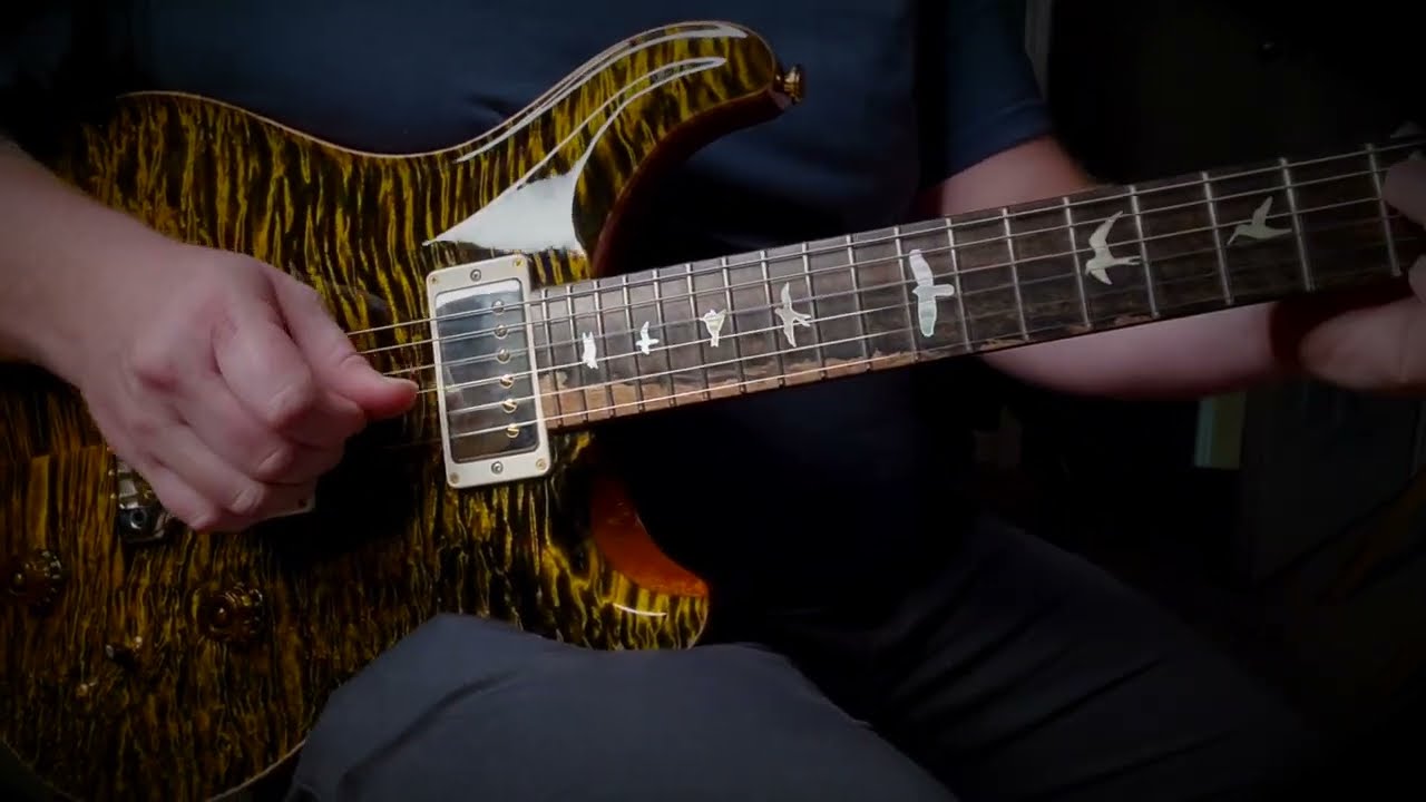 2021 PRS Custom 22 Private Stock 