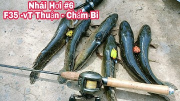 Lure Cá Lóc Bằng Nhái Hơi P6.So Sánh F35 | VT Thuận | Chấm Bi Mồi Nào Nhạy Nhất | Đại Ngáo Vlog
