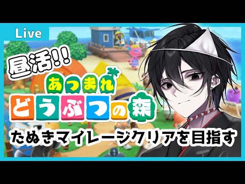 【 #あつまれどうぶつの森  】またお昼あつもり！~たぬきマイレージのクリアを目指して~【#昼活】