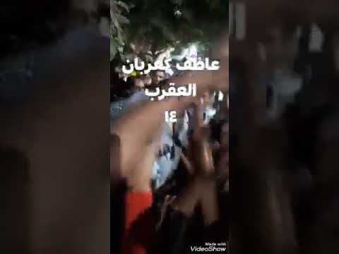 عاطف كعربان نمبر وان بكتساح فوز عاطف كعربان المنشاه