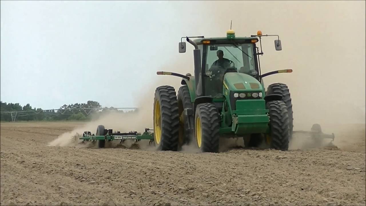 Murray Farms Fall Crop Tomatoes Field Cultivating YouTube