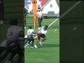 Would You Try To Tackle GT In The Open Field?!
