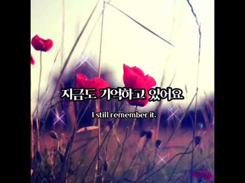 잊혀진 계절   (아이유)
