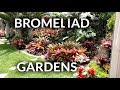 BROMELIAD GARDENS