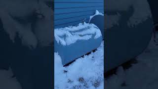 getting some snow #snow #snowfall #winter #alaska #shorts #cold #work #workout #motivation #cool #i