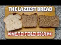 Experiment: The Laziest And Simplest Sourdough Bread?