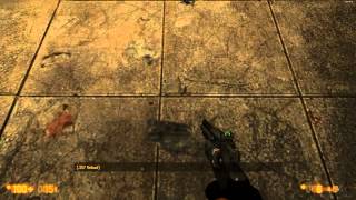 Black Mesa Early Access Visual Bug 7